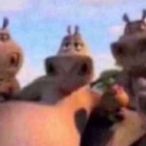 Meet your Posher, Ella